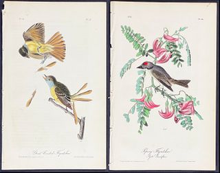 Audubon - 5 Flycatcher & Grosbeak Lithographs