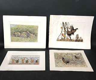 A Group of 4 Game Bird Related Engravings