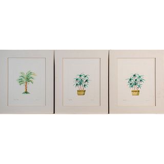3pc Illegibly Signed Watercolors Palm Trees