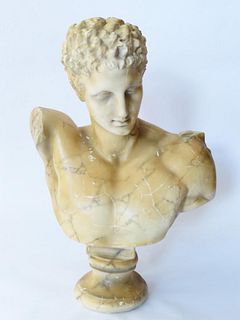 Plaster Bust of Hermes Olympia