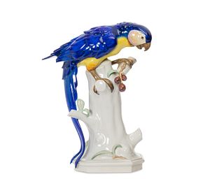 A Volkstedt porcelain macaw figure