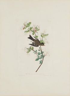 John James Audubon (1785-1851)