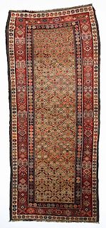 Antique Northwest Persian Kurd Rug: 3'8" x 8'9"