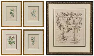 Bessler and (After) Redoute Botanical Print Assortment