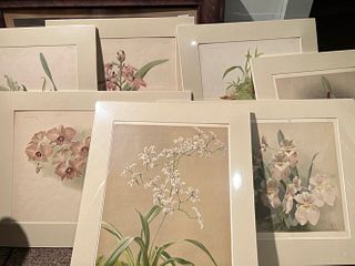 Orchid Prints