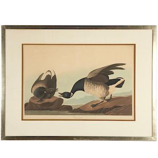 After John James Audubon, Havell edition print