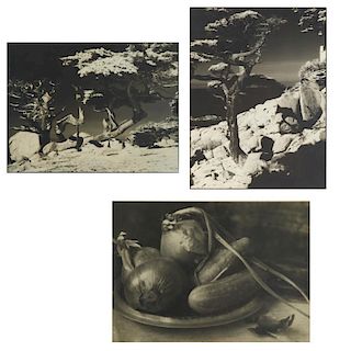William T. Higbee, (3) photograph prints