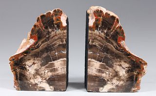 Pair of Petrified Wood Bookends