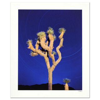 Robert Sheer, "Joshua Tree" Limited Edition Single Exposure Photograph, Numbered and Hand Signed with Certificate of Authenticity.