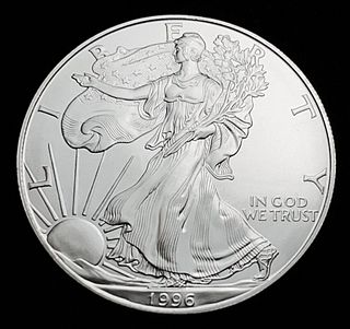 Better Year 1996 American Silver Eagle MS69