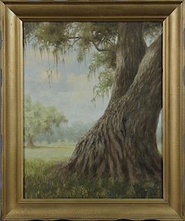 Don Reggio (Louisiana), "Moss Draped Oak Tree," 19