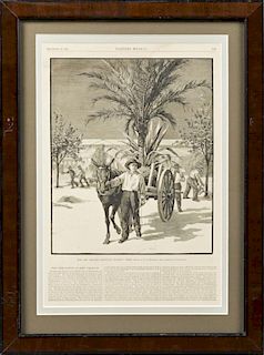 "The New Orleans Exposition - Planting Trees," Dec