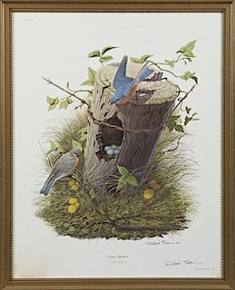 Richard Sloan (1935-2007), "Eastern Bluebird," 196