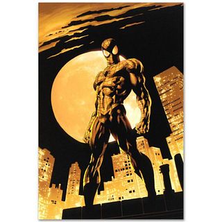 Marvel Comics "Amazing Spider-Man #528" Numbered Limited Edition Giclee on Canvas by Mike Deodato Jr. with COA.