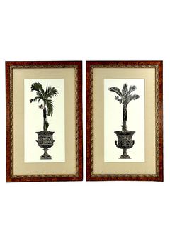 PAIR OF FRAMED PRINTS: POTTED PALMS