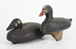 Two Working Surf Scoter Duck Hunting Decoys