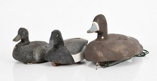Three Working Blue-billed Duck Hunting Decoys