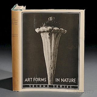Blossfeldt, Karl (1865-1932) Art Forms in Nature, Second Series.