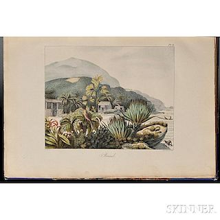Choris, Louis (1795-1828) Vues et Paysages des Regions Equinoxiales, Recueillis dans un Voyage autour du Monde.