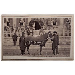 Abraham Lincoln's Horse, "Old Robin," CDV by Ingmire