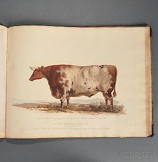 Garrard, George (1760-1826) A Description of the Different Varieties of Oxen Common in the British Isles.