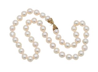 Single Strand of Pearls