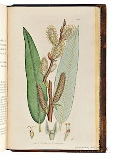 Sowerby, James (1757-1822) English Botany  , Partial Set, Eighteen Volumes.