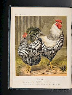 Wright, Lewis (fl. circa 1870-1890) The Illustrated Book of Poultry.