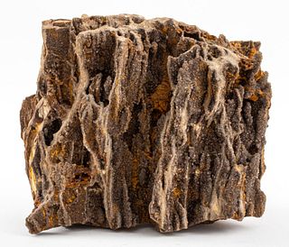 Large Petrified Wood Druzy Quartz Mineral Specimen