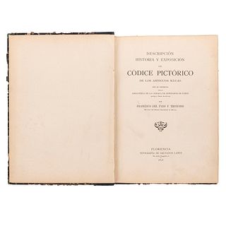 Paso y Troncoso, Francisco del. Códice del Palais Bourbon de Paris. Florencia: Tip. de Salvador Landi, 1899.