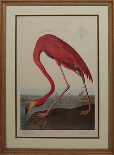 John James Audubon (Haitian/American, 1785-1851), "American Flamingo, Phoenicoptenus Ruber, Linn. Old Male," 20th c., offset lithograph, No. 87, Plate