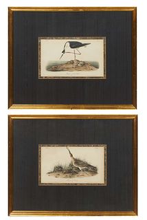 John James Audubon (Haitian/American, 1785-1851), "Hudsonian Curlew" and "Black Necked Still," 20th c., pair of lithographs printed and colored by J.T