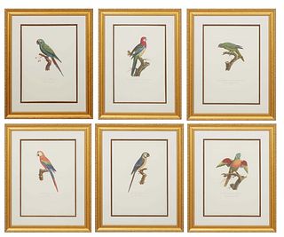 After Francois Levaillant (French, 1753-1824), Six Parrot Lithographs, each editioned 66/200 with two embossed symbols of a hand holding up a wreath a