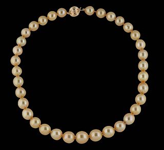 Strand of Graduated South Seas Cultured Natural Golden Pearls, ranging from 10-13 mm, with a 14K yellow gold ball clasp, L.- 17 1/2 in.