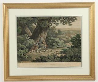 FRAMED ENGLISH HANDCOLORED ENGRAVING
