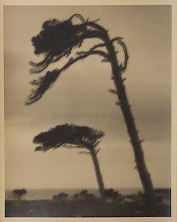 LEOPOLD HUGO (1866-1933): UNTITLED: FOUR IMAGES