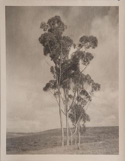 LEOPOLD HUGO (1866-1933): UNTITLED (SEASCAPE); UNTITLED (SUNSET); AND UNTITLED (TREES)
