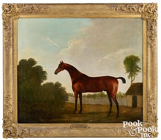 John Best oil on canvas of a race horse