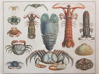 Three Color Engravings of Crustaceans Plate size: 17 1/2 x 22 inches.