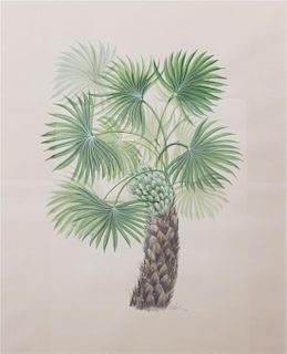 E. Pakesh, (20th century), Three works: Palm Trees, 92