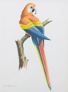 Paul Thomas, (Jamaican, 20th century), Two works: Red Macaw and Hummingbird