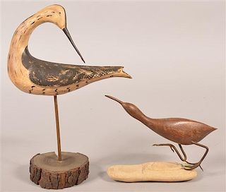 Two Various Shore Birds.