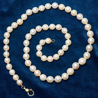 LARGE SOUTH SEA PEARL NECKLACE
