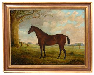 Jean Quinton Horse Oil Painting