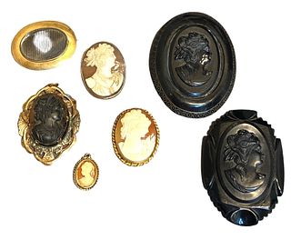 Antique Victorian Cameo Brooches and Necklace Pendants 