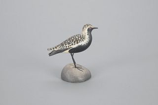 Exceptional Miniature Black-Bellied Plover by A. Elmer Crowell (1862-1952)