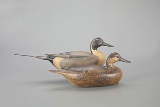 Early Pintail Pair by Mark S. McNair (b. 1950)