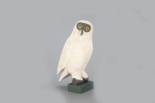Snowy Owl by Frank S. Finney (b. 1947)