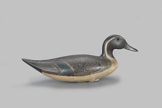 Important Pintail Drake Decoy by Andrew A. Tull (1840-1915)