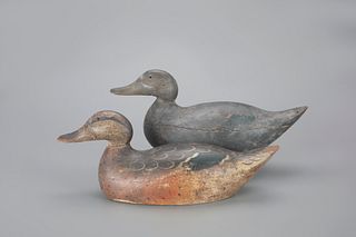 Premier-Grade Black Duck & Mallard Hen by Mason Decoy Factory (1896-1924)